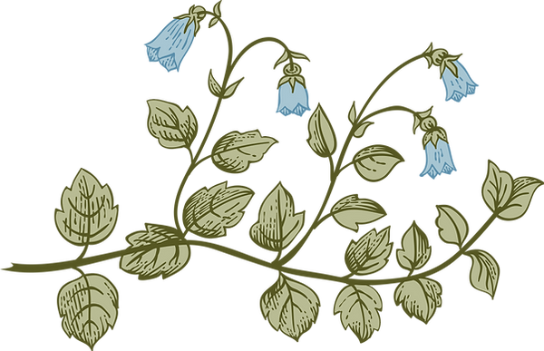 Botany