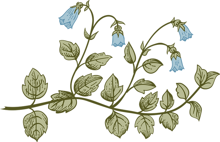 Botany