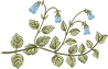 Botanical image - non-specific