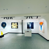 Gravity Revisited Exhibition West End Art Space 2022.jpeg