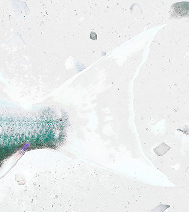 Thumbnail: Beach Fish 24 #6