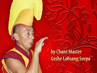 On DVD. Now Available