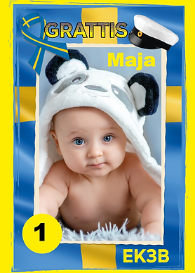 Skärmavbild 2025-04-01 kl. 10.18.29.png