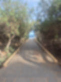 20251126_160206_115714.jpg