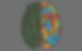 brain 2 comp.png
