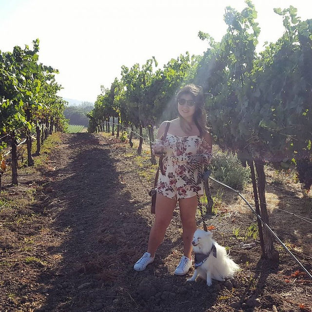 Gundlach Bundschu Winery, Sonoma