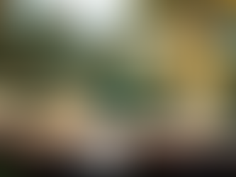 Top 5 Honeymoon Destinations of 2025