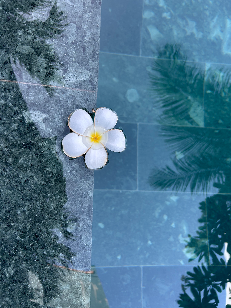 cô đơn và một mình