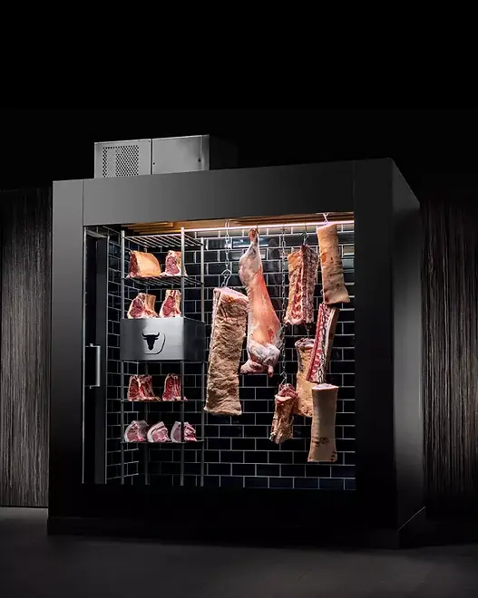 DryAger Reifezellen, Fleisch