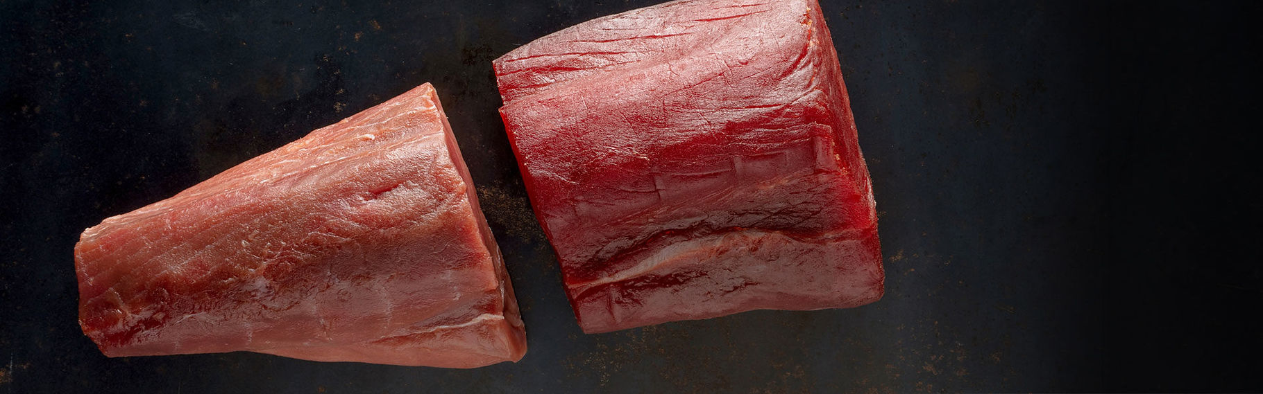 DryAger_Landingpage_Fishaging_Thunfisch_1920x600px-1920x600 (1).jpg