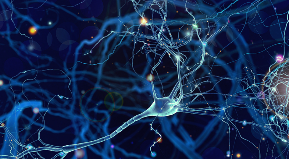 Your Nervous System Is Running the Show: Here's How to Take Back Control