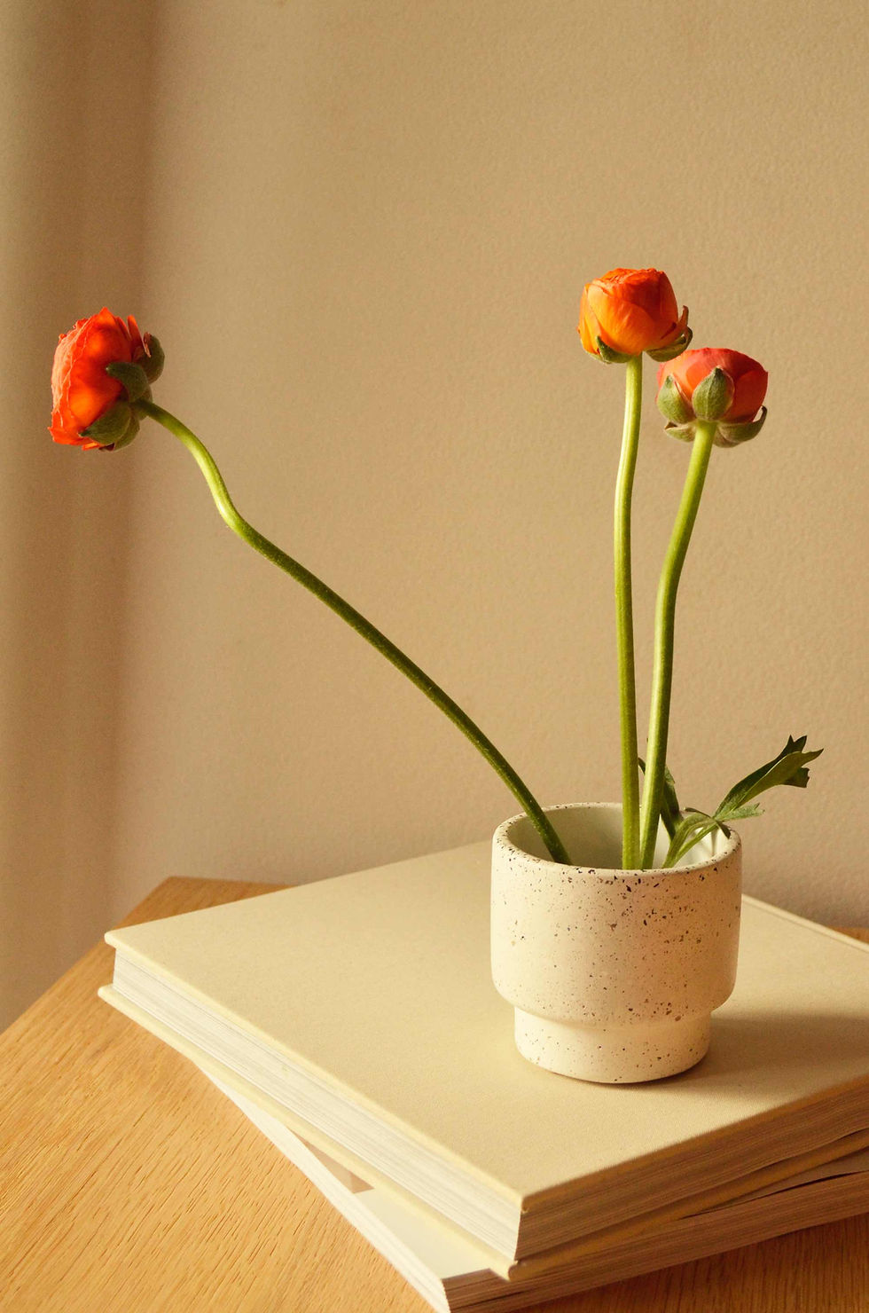 Miniatura: Maceta apilable