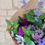 Thumbnail: Sophie Bouquet Medium 