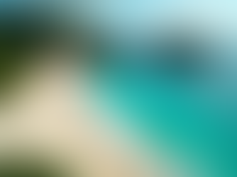 Unveiling the Enigmatic Allure of Summer in Barbados