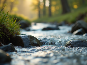 The Art of Mindful Living