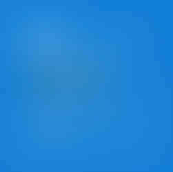 나트랑 체리 스파 예약 텔레그램