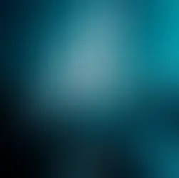 붕따우 록스 클럽 파티