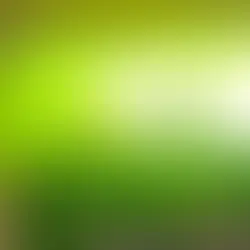 호치민 롤라 클럽