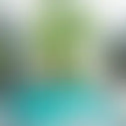 다낭 미우 빌라 수영장 사진