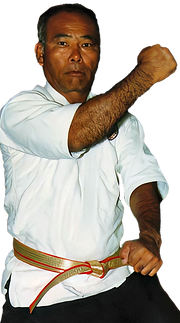 Cut - Red Belt Pose.png