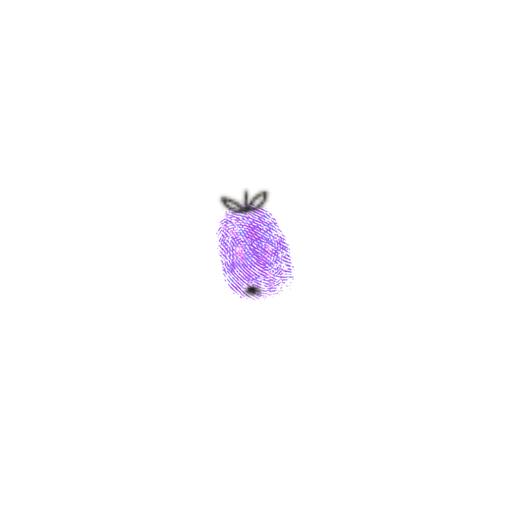 Submitted Image