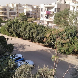 جنوب الاكادميه