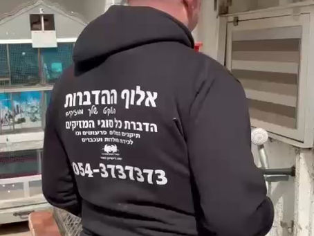 טרמיטים