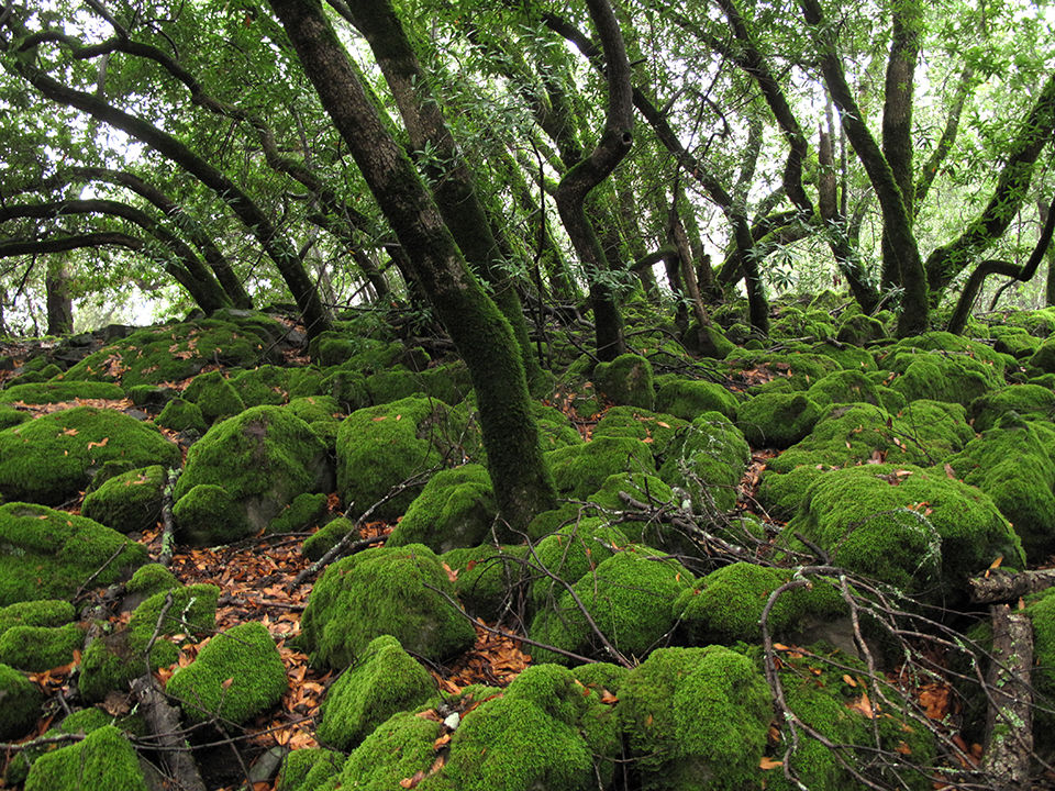 Finding Magic in Unexpected Places