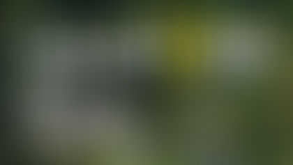 Noul Ghid METRO: 2.500 de destinații din România, 300 de afaceri locale