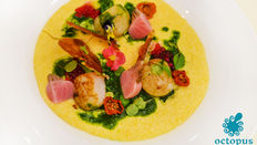 Cum a fost la Zilele Octopus