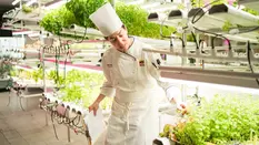 Toți bucătarii de succes au cel puțin una dintre aceste 10 specializări. Tu pe care o alegi?