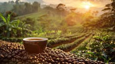 Nespresso primește certificarea Rainforest Alliance pentru cafeaua din agricultură regenerativă