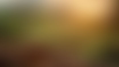 Nespresso primește certificarea Rainforest Alliance pentru cafeaua din agricultură regenerativă