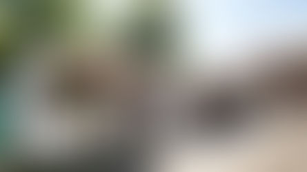 Pierderile din pandemie ale organizatorilor de evenimente, compensate cu 20%.