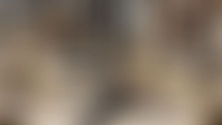 Incompetența Guvernului României asfixiază afacerile din Ho.Re.Ca.!