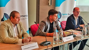 Piața Neagră și Creșterea Accizelor: O Provocare Majoră pentru Spirtoasele Românești