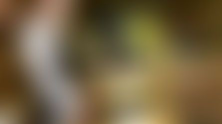 BREAKING: Taxa specială pentru promovarea turistică a municipiului București scade de la 2% la 0,5%