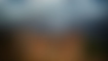 Cum transformi un hotel într-o destinație virală: Strategia care atrage clienți recurenți și recenzii de 5 stele