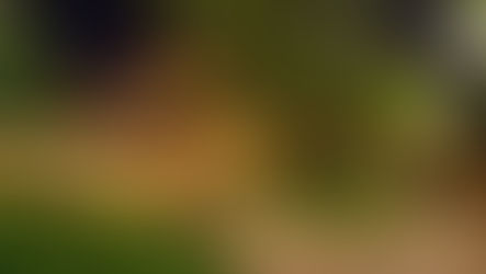 Conflict între hotelul Caro și Primăria București