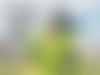 Order Online Sport Theme Cakes Delivery in Gurgaon By Cake Plaza