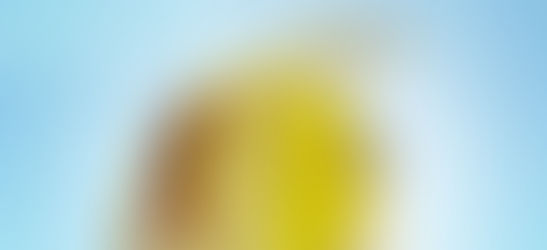 Best Order Online Anniversary Cake in Gurgaon