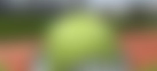 Order Sport Theme Cake in Gurgaon By Cake Plaza