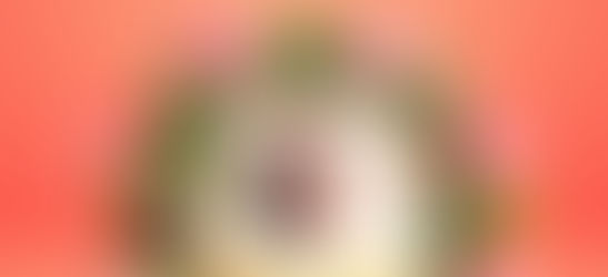 Online Eggless Customized Cakes in Gurgaon