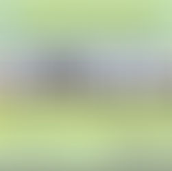 ELECCIONES CICTAC 2025 DEL COLEGIO DE INGENIEROS CIVILES DE TIJUANA,A.C.