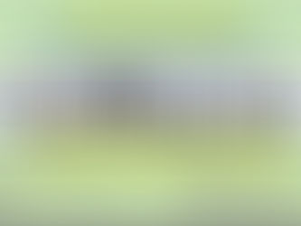 ELECCIONES CICTAC 2025 DEL COLEGIO DE INGENIEROS CIVILES DE TIJUANA,A.C.