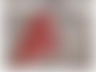 PRIMERA SESIÓN ORDINARIA DEL MES DE AGOSTO 2024