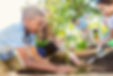 School Garden_edited.jpg