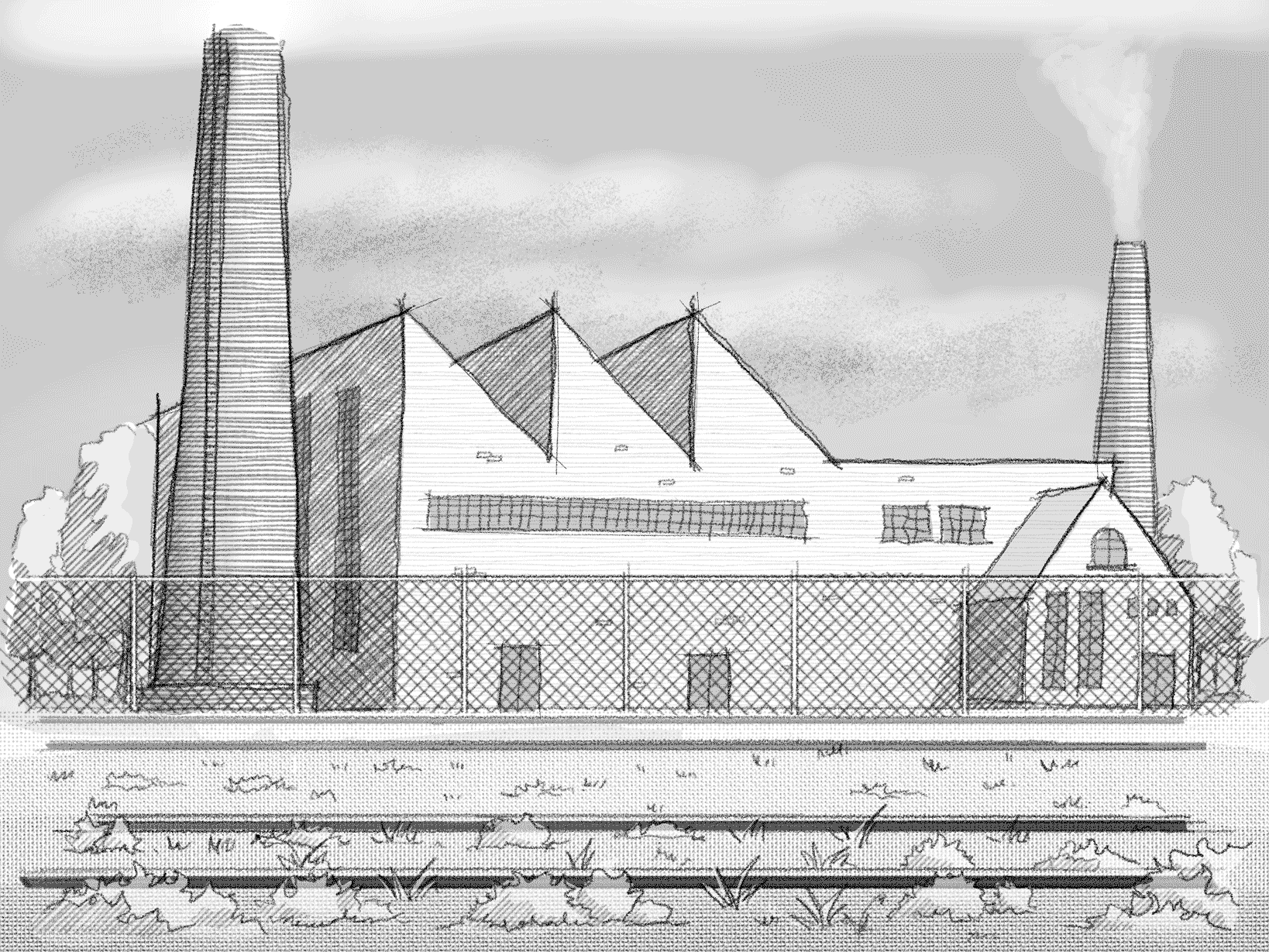 regeneration-sketch-gif-.gif