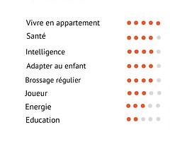 Copie de Violet et Jaune Diagramme de Gantt.jpg