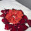 Miniature : Chouchou Coquelicot